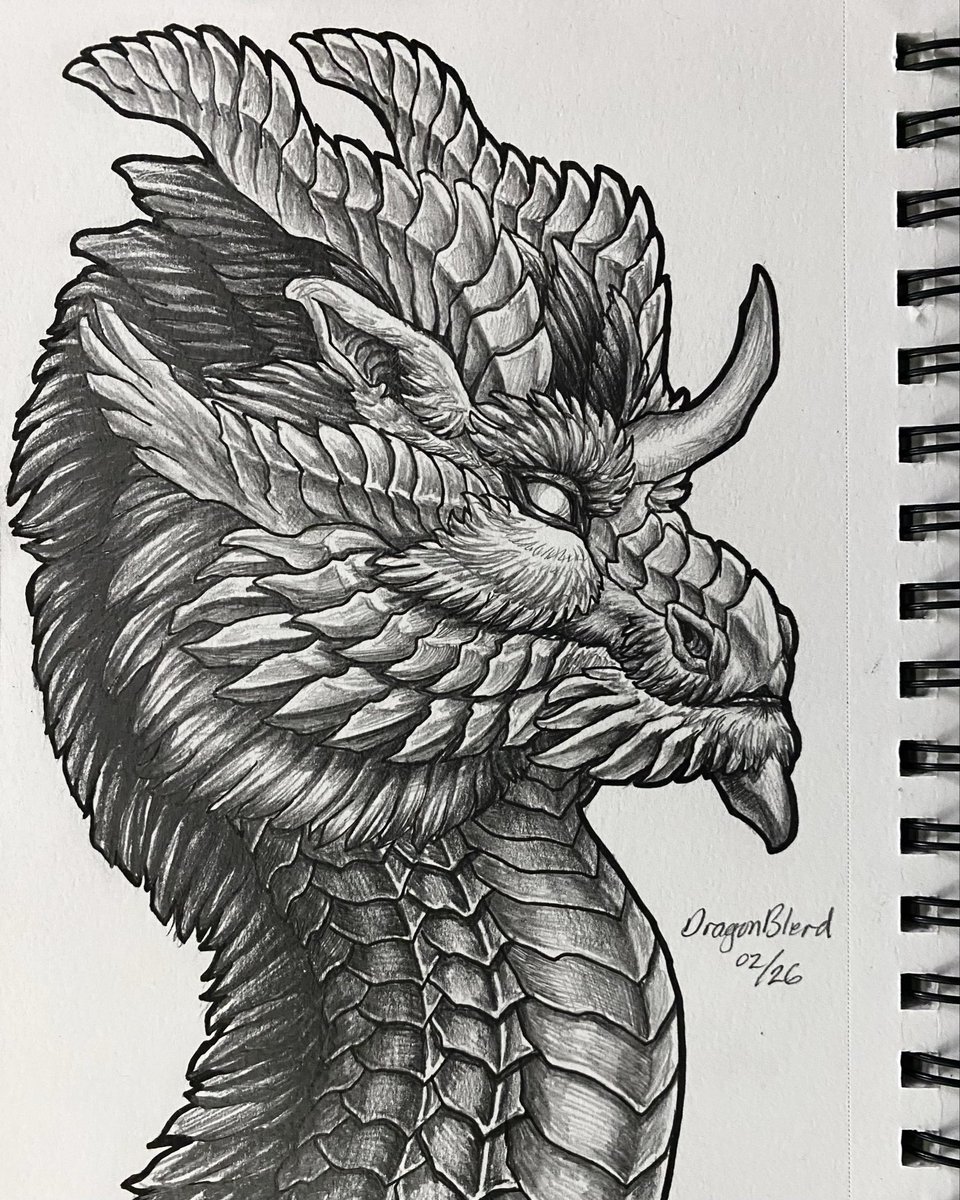 Graphite Dragon Portrait