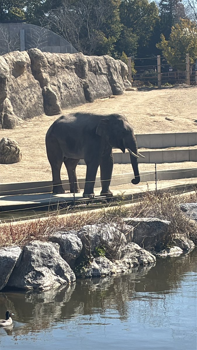 ふきぃいいいいいいいいい‼️