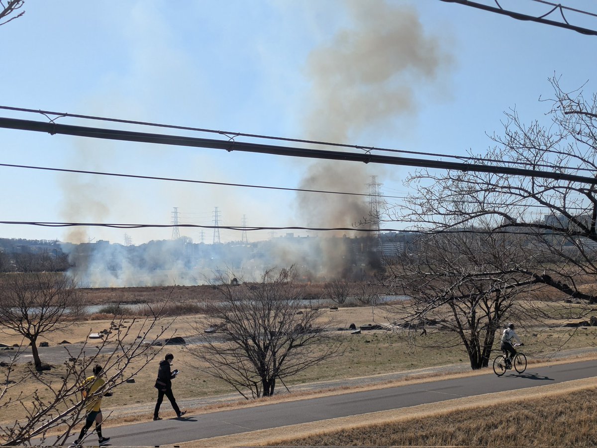 Akio Shimono tweet media