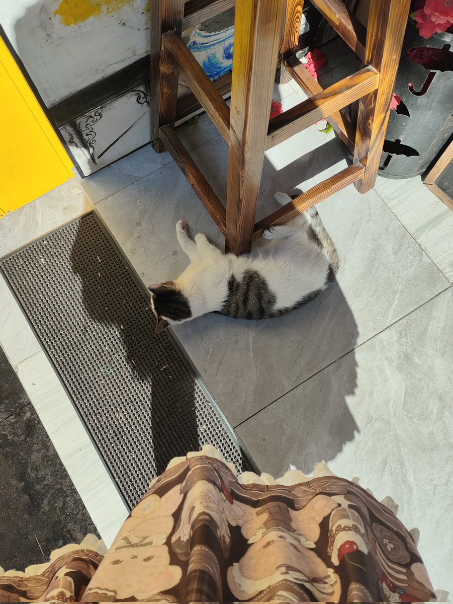 luobouo's tweet photo. 小猫咪🐱 https://t.co/Da1VFagLnq