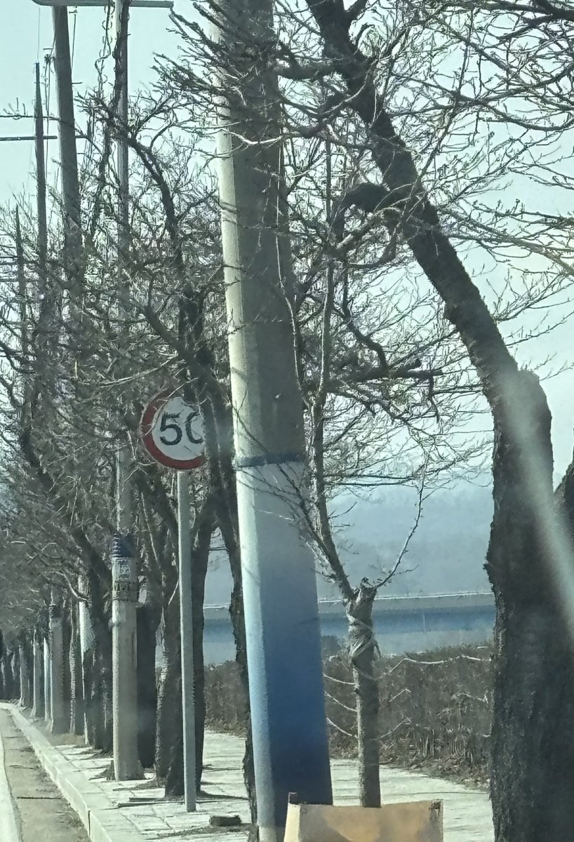 아…. 전봇대일뿐인데 어떤 옷이 생각나네..