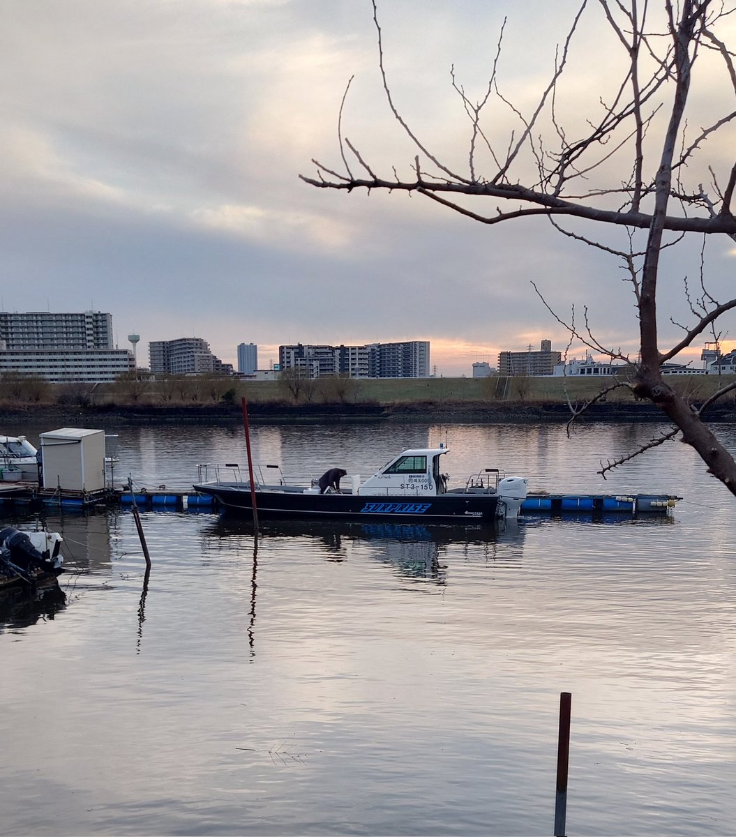 YuYuYujiFTK56's tweet image. 昨日は仕事お休み貰えたので、鹿浜橋サプライズさんよりビッグベイトシーバスに出撃🤓✨
寒さのせいかバイトが出るけどバラし多数でしたが何とか🥺💦💦
なかなか毎回は上手くいかないね～😅

船長またよろしくお願いしますm(_ _)m

#ビッグベイトシーバス
#SURPRISE
#サプライズ