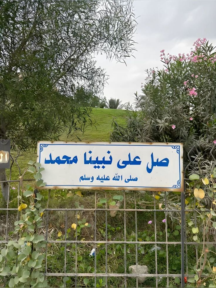 أابو علي الشيخ tweet media