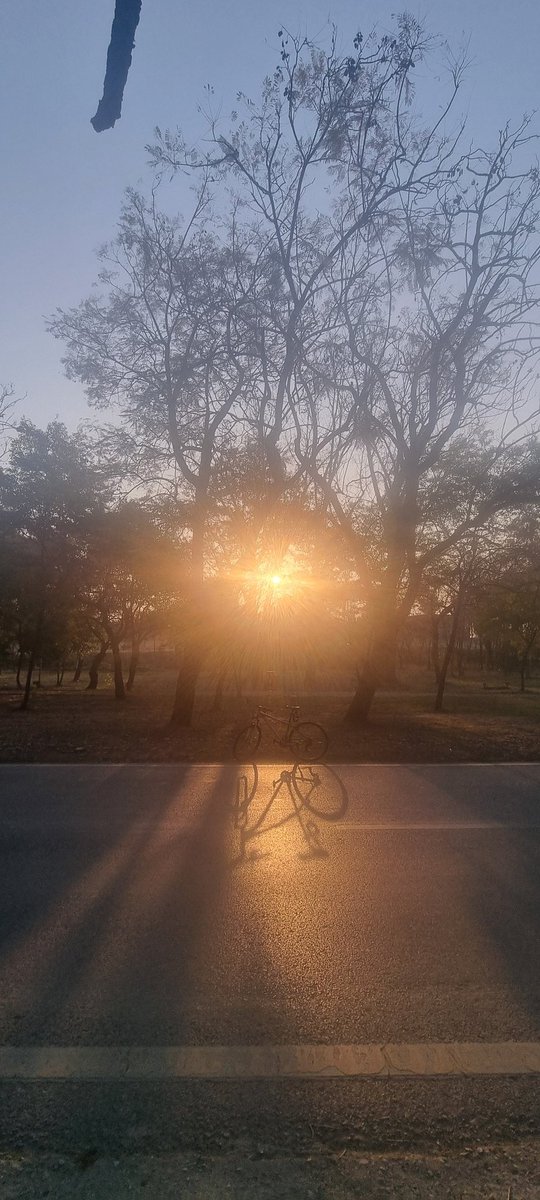 Ayesha Abu Bakr tweet media