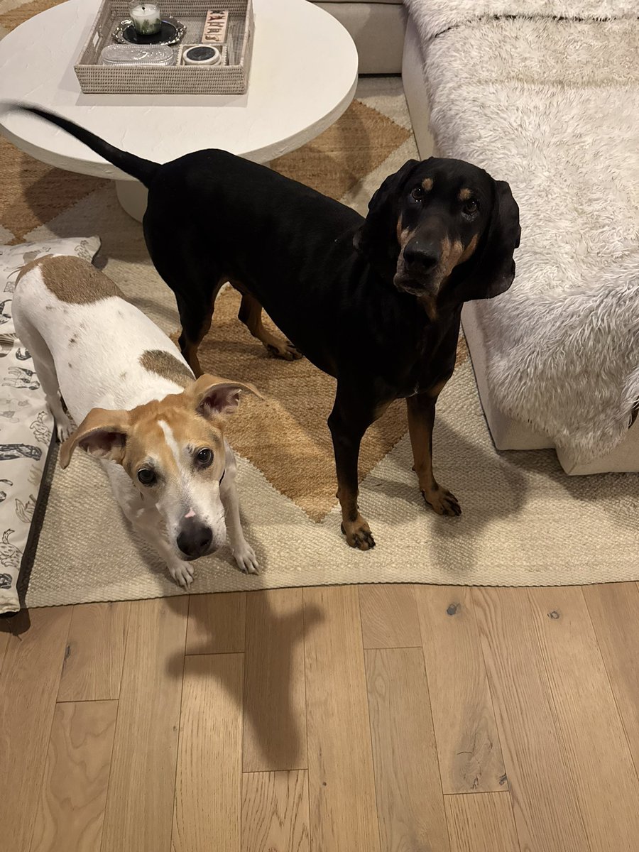 Arnie McNair 🇺🇸 tweet media