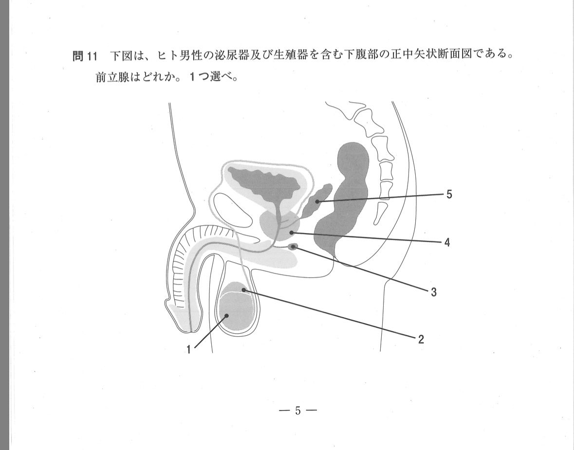 薬剤師国家試験、腐女子正答率100%の問題出たやん