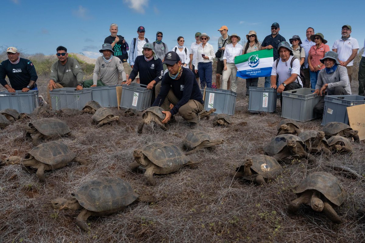 Parque Galápagos tweet media
