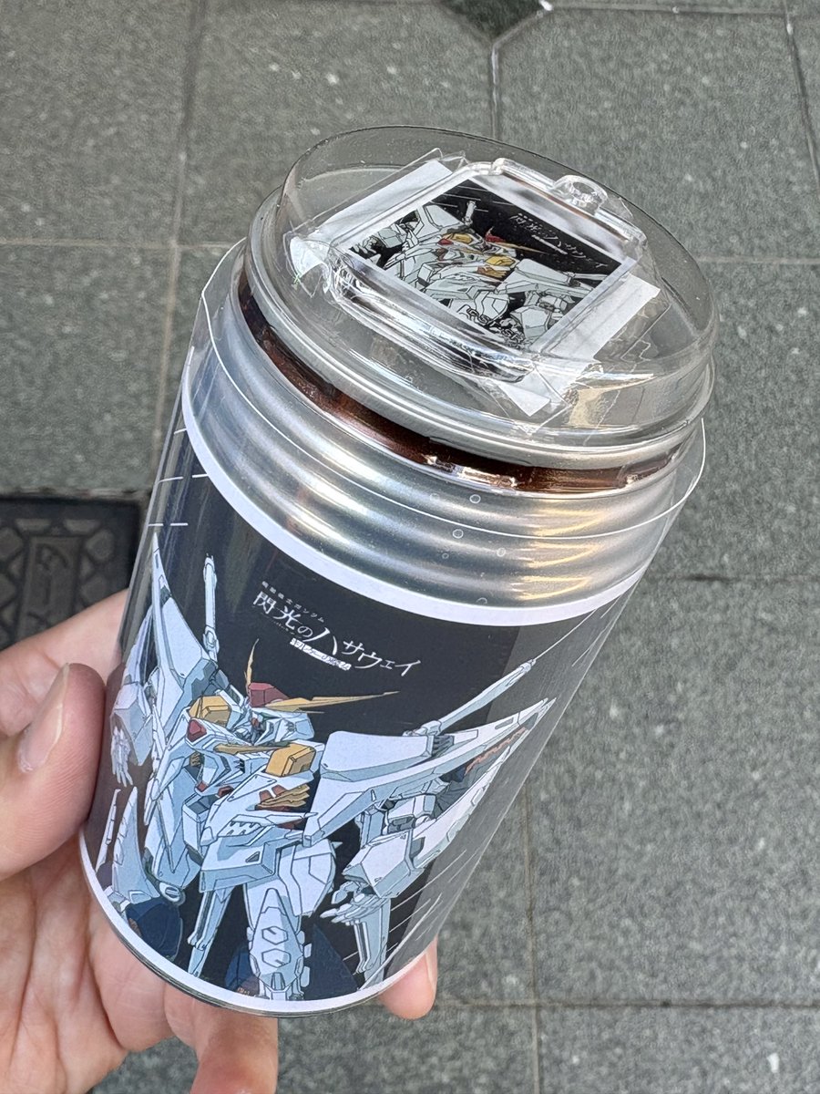 ガンダムだと！？
ホンモノのカーゴピサ落着した