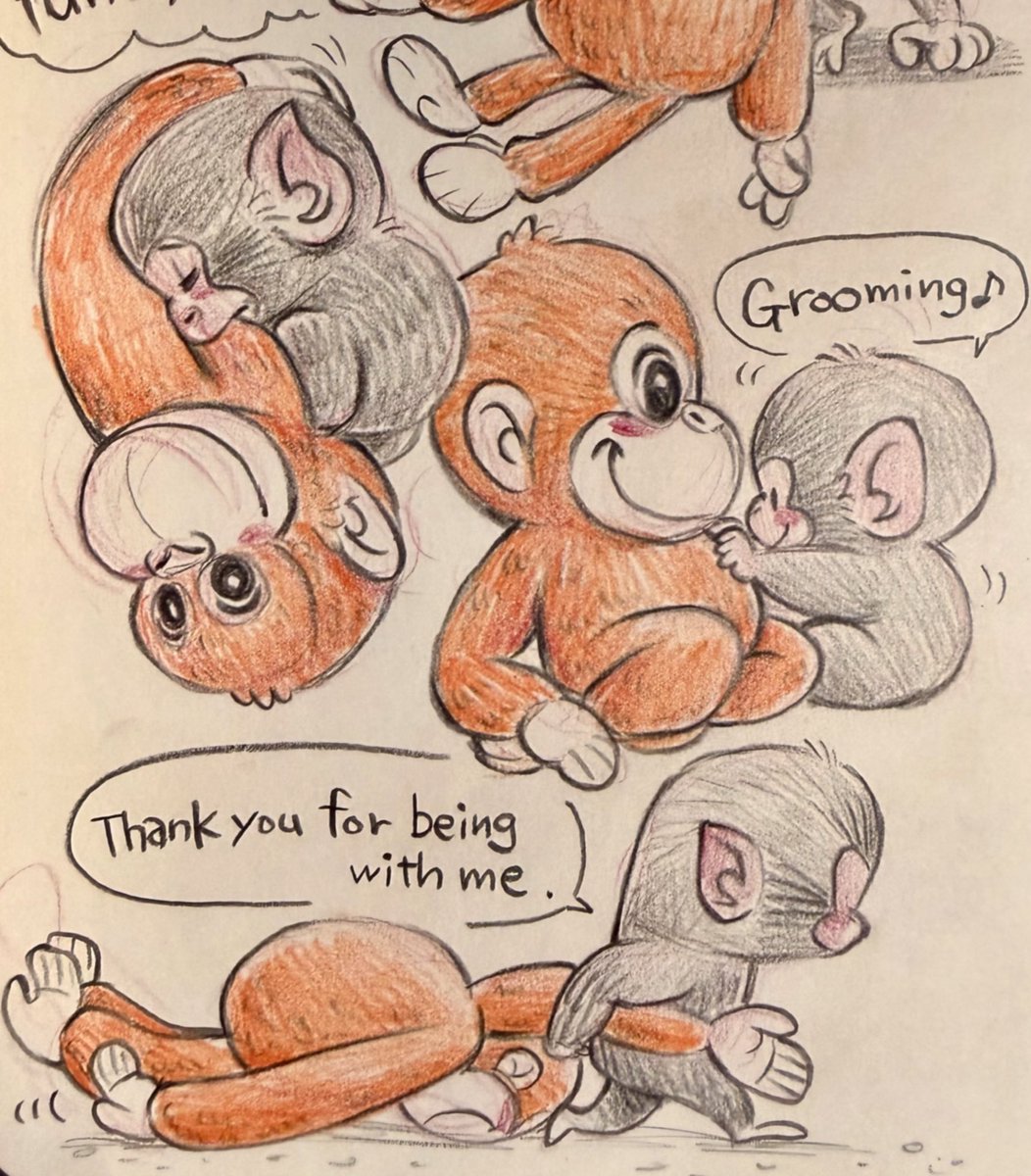 Hitomi_Draws's tweet photo. 大注目のパンチくん！ぬいぐるみを抱きしめたり連れて歩いたりしてる姿を見ると本当に愛おしい気持ちになります😢🩷最近はお友達もできたようで、本当に嬉しい！👏パンチくん、応援してます👍🔥

#がんばれパンチ #市川市動植物園 #punchkun https://t.co/zTNSry4F3N