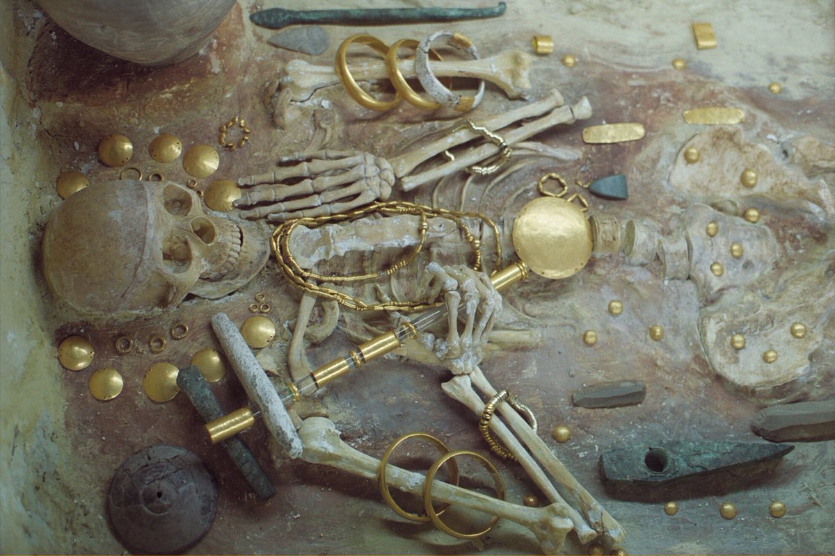 archaeologyart's tweet photo. Burial with skeleton and gold. The Varna Necropolis was discovered during construction in 1972 and has over 300 graves. 

The site is renowned for containing the oldest known gold objects and jewelry, dating back to the Copper Age (4600-4200 BC) Varna Archaeological Museum, Bulgaria