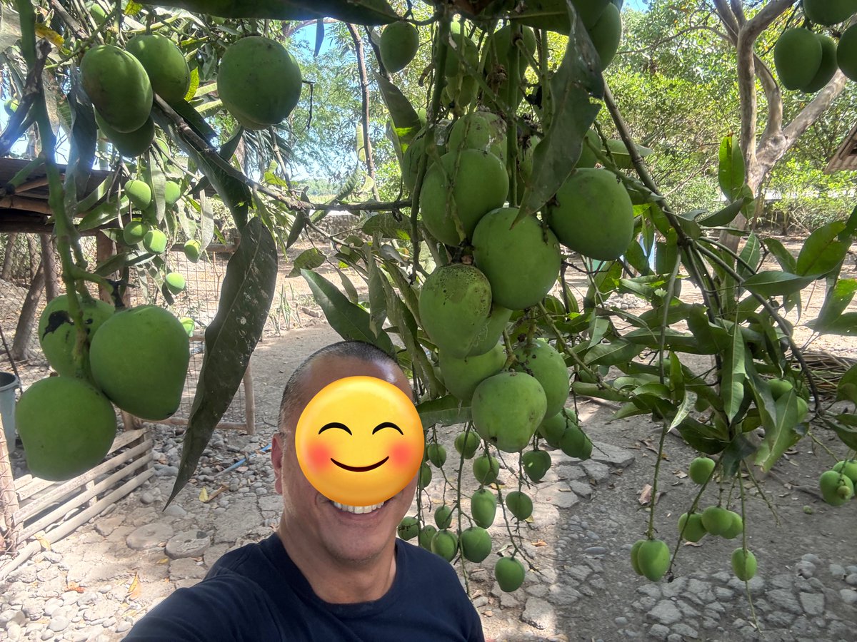 UD farmer tweet media