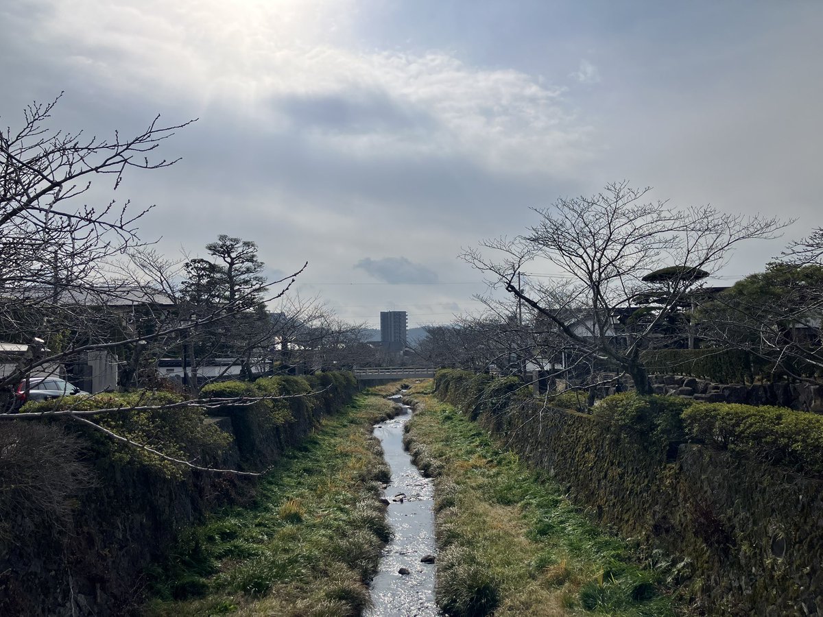 🦀菜門アタロウザ🦑 tweet media