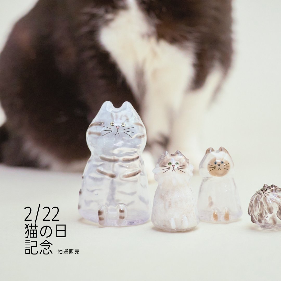 うちの子のけだまだま (@kedamastudio) / Posts / X