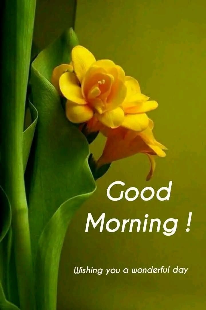 FriendlyPhysio's tweet photo. #HappyMorning https://t.co/4Zw0LJgONS