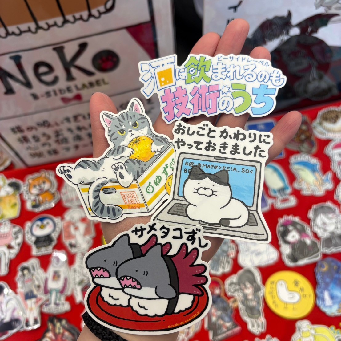 ヴィレッジヴァンガード イオンモール高知店宣伝販売』 場所 本館専門