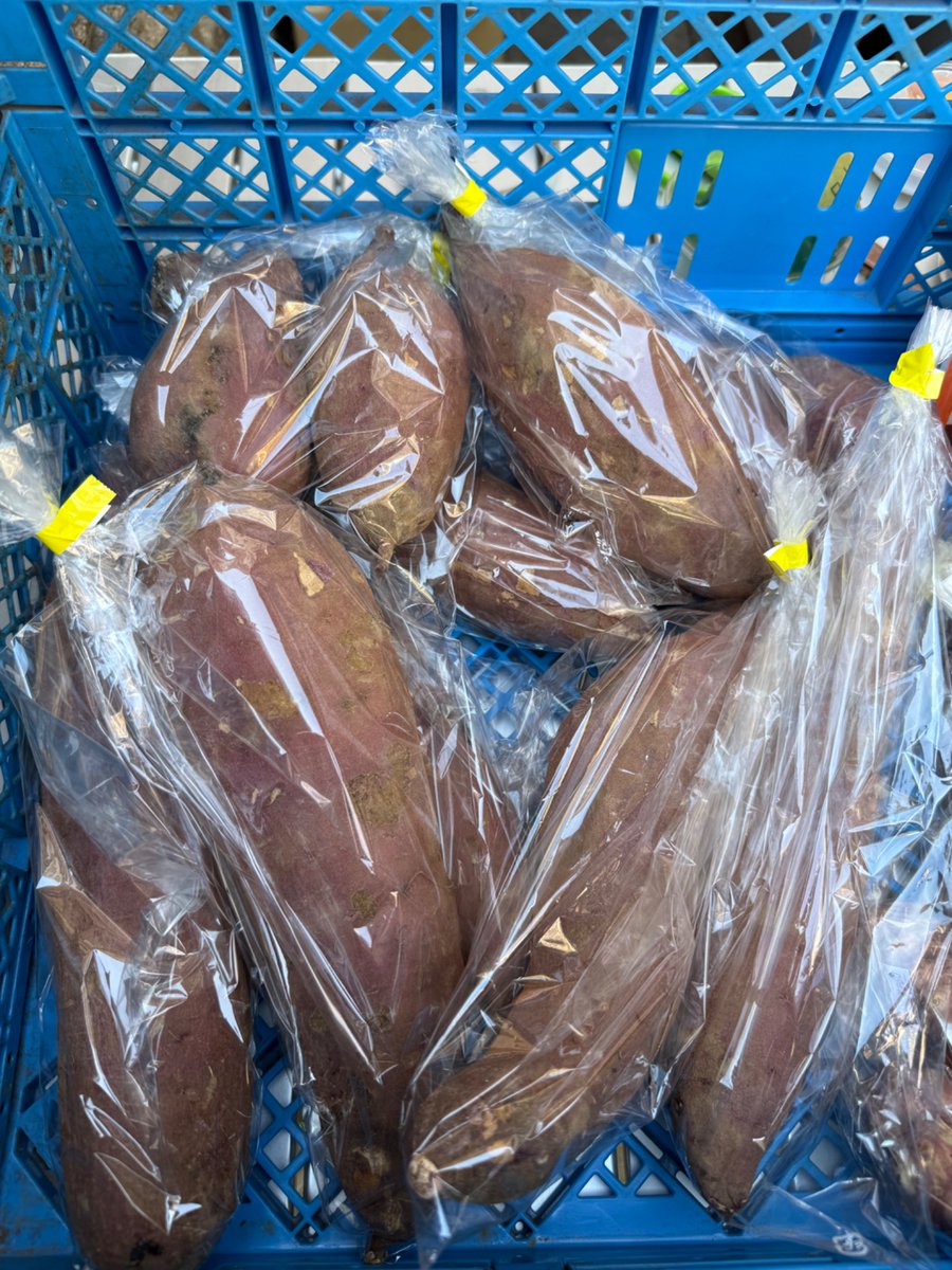 NeoVeggies_PR's tweet photo. 本日に東京メトロ南北線 本駒込駅から徒歩1分。泥付きネギ、マッシュルーム、農場たまご、そして初登場の「キクイモ」や「さつまいも」もございます！

📍開催日：2026年2月21日
 🕒時間：午前11:00から午後5:00 
🏡場所：東京都文京区本駒込1-6-14
 #泥付き #規格外野菜 #産地直送 #卵 https://t.co/W5moenCszr