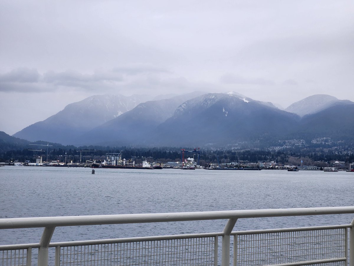 Anthony Lee tweet media