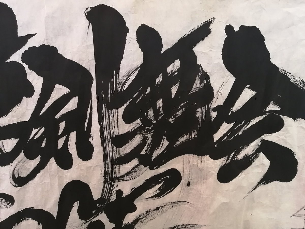 志伝 飛龍 tweet media