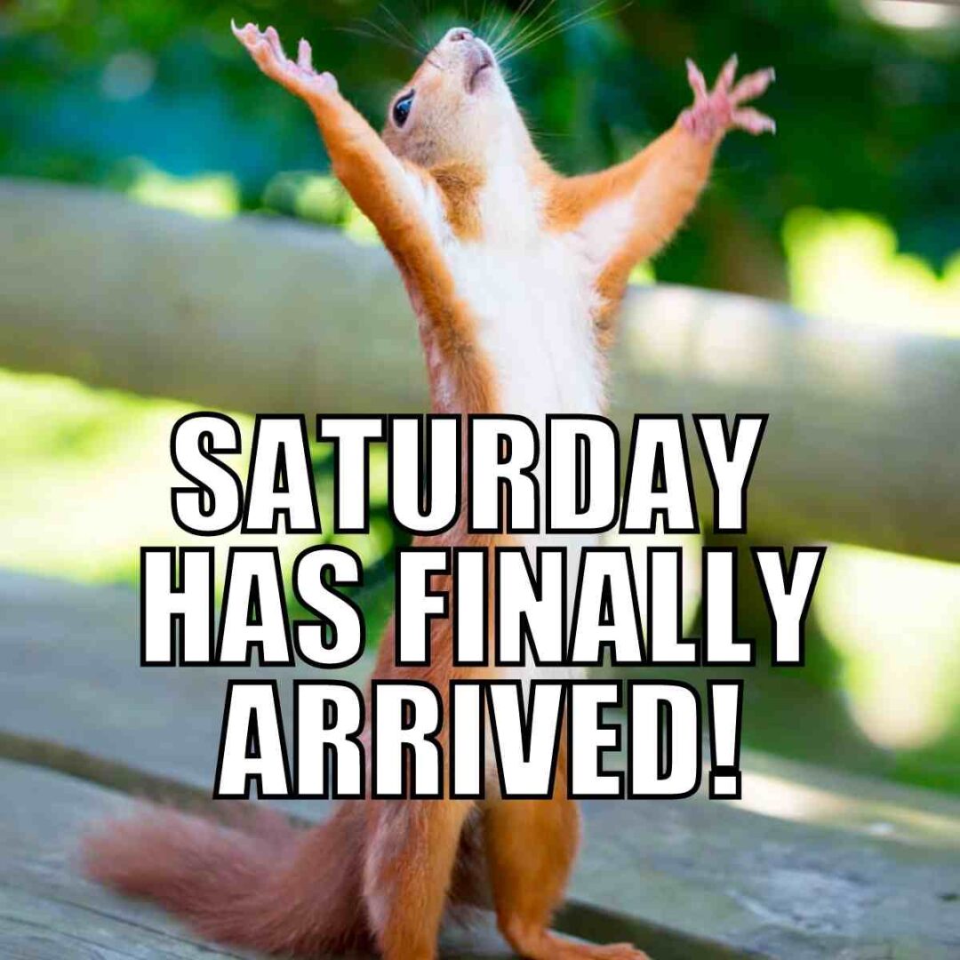 Channelnotinuse tweet media