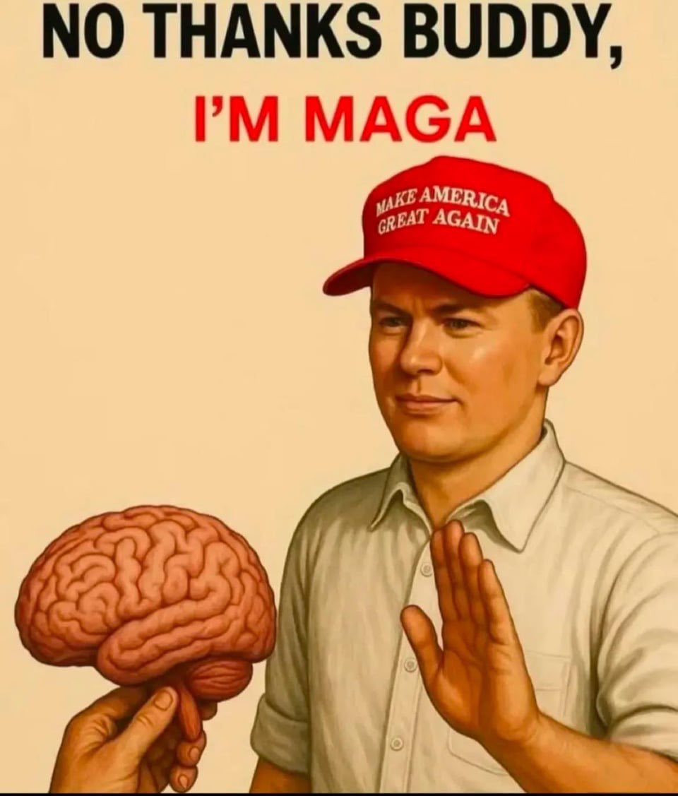 funkme77's tweet photo. @TomM7621 @giantmoosticles @GovPressOffice https://t.co/KAMPq5qW1F