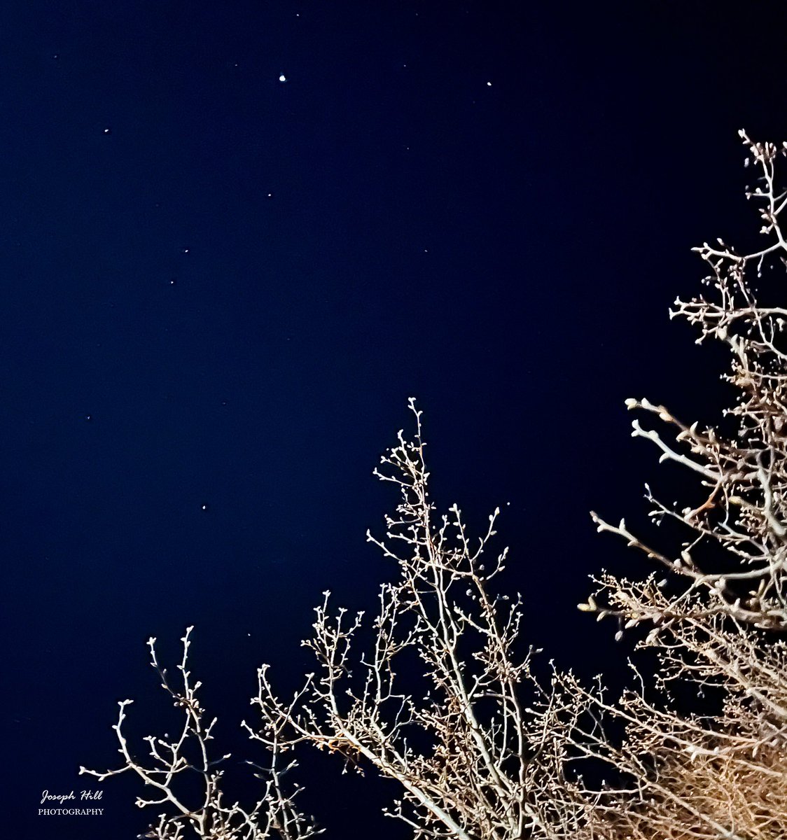 JosephHill3794's tweet image. Winter Night❄️🌌
Photo By: Joseph Hill🙂📸

#winter #winternight #night #nightsky #sky #stars #tree #nature #beautiful #peaceful #nighttime #wintertime #wintervibes #winterphotography #NightPhotography #SouthernPinesNC #February