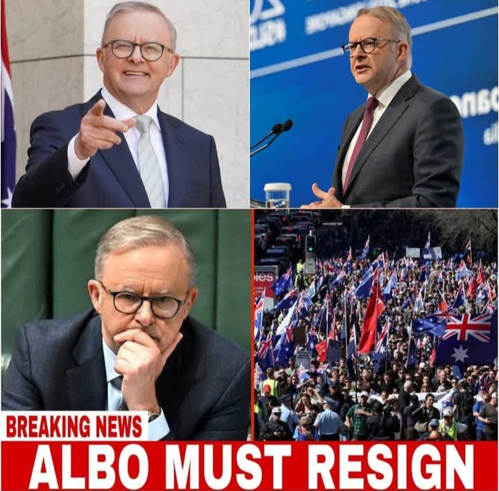 Australian Patriot. tweet media