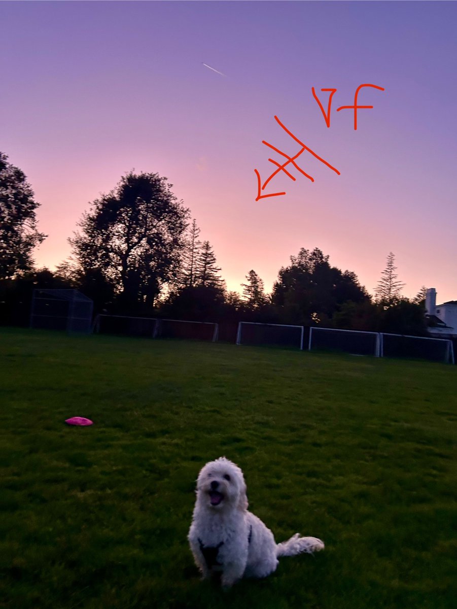 Arhan Jain tweet media