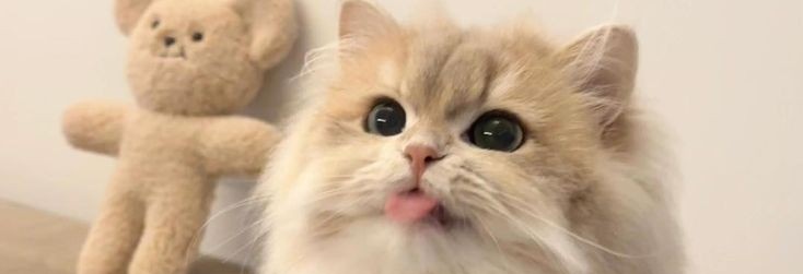 chjerty's tweet image. Test, masuk gak?? #zonauang