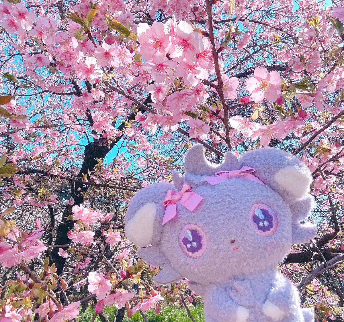 こんにちは🔅 とても気持ちが乱れており⤵︎⤵︎癒されたくて 新宿御苑