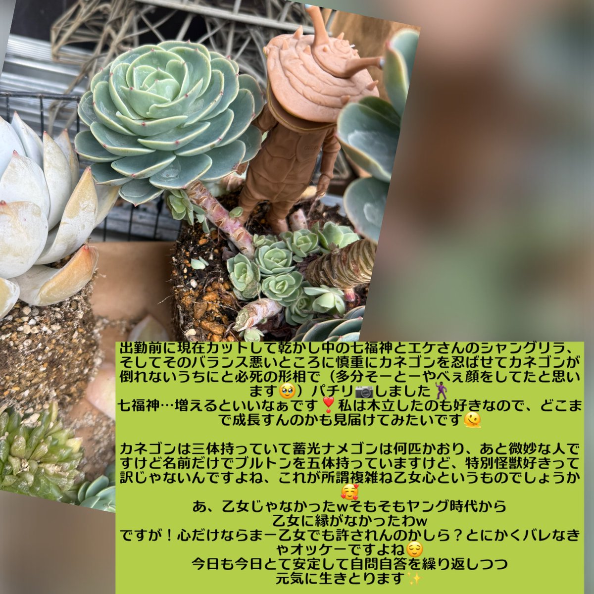 【2月21日土曜日の俳句】
そう言えば
そろそろ薬も
撒かんとな👾

冬越しがようやく終わりそうですが、春が来ると言うことはダニたちも活動開始ってことで薬剤撒き撒きとかしなきゃならんのですね。