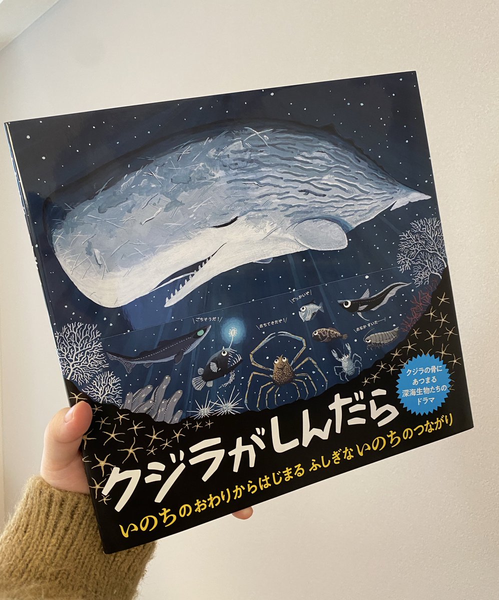 佐藤千亜妃 (@chiaki_sato0920) / Posts / X