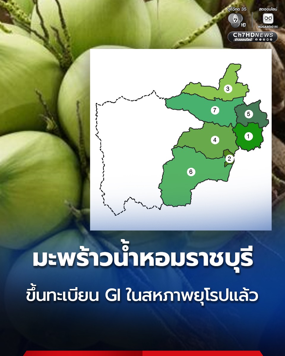 “มะพร้าวน้ำหอมราชบุรี” ขึ้นทะเบียนเป็นสิ่งบ่งชี้ทางภูมิศาสตร์ (GI) ใน สหภาพยุโรปอย่างเป็นทางการแล้ว เปิดโอกาสสินค้าเกษตรไทยสู่ตลาดพรีเมียม 27 ประเทศ
.
news.ch7.com/detail/857378
.
📌 ติดตามข่าวช่อง 7HD ทุกช่องทางออนไลน์ที่ : linktr.ee/ch7hdnews