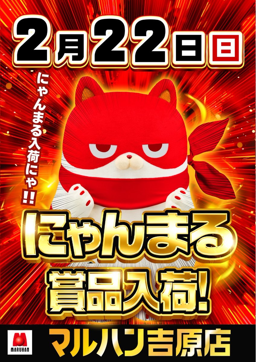 こんばんは🌟 2月22日(日) 🐱🎁🐱🎁🐱🎁🐱🎁 にゃんまる 賞品入荷