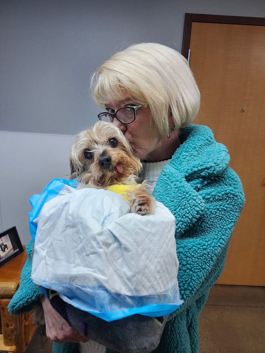 THE HERD HOUSE tweet media