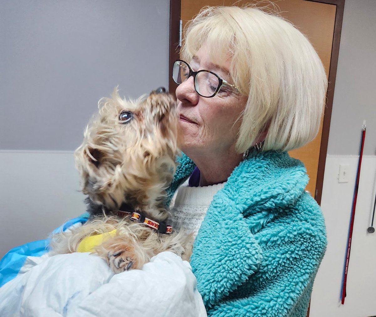 THE HERD HOUSE tweet media