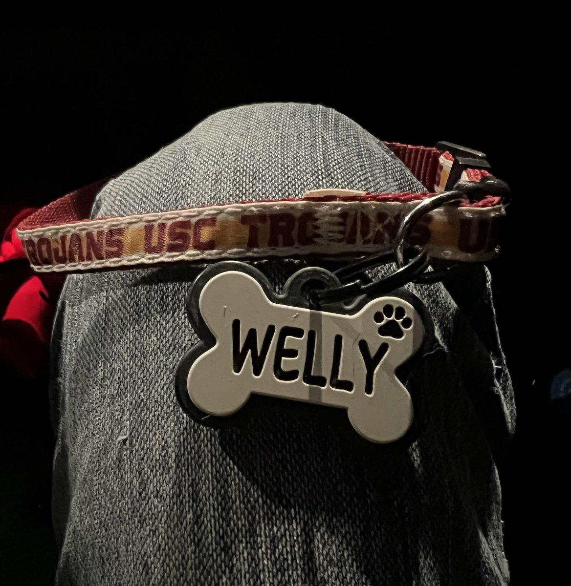 THE HERD HOUSE tweet media