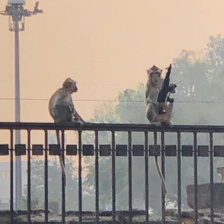 ทุกอย่างในไทยเหมือนโดนแฮคระบบมา 5555555555555555555