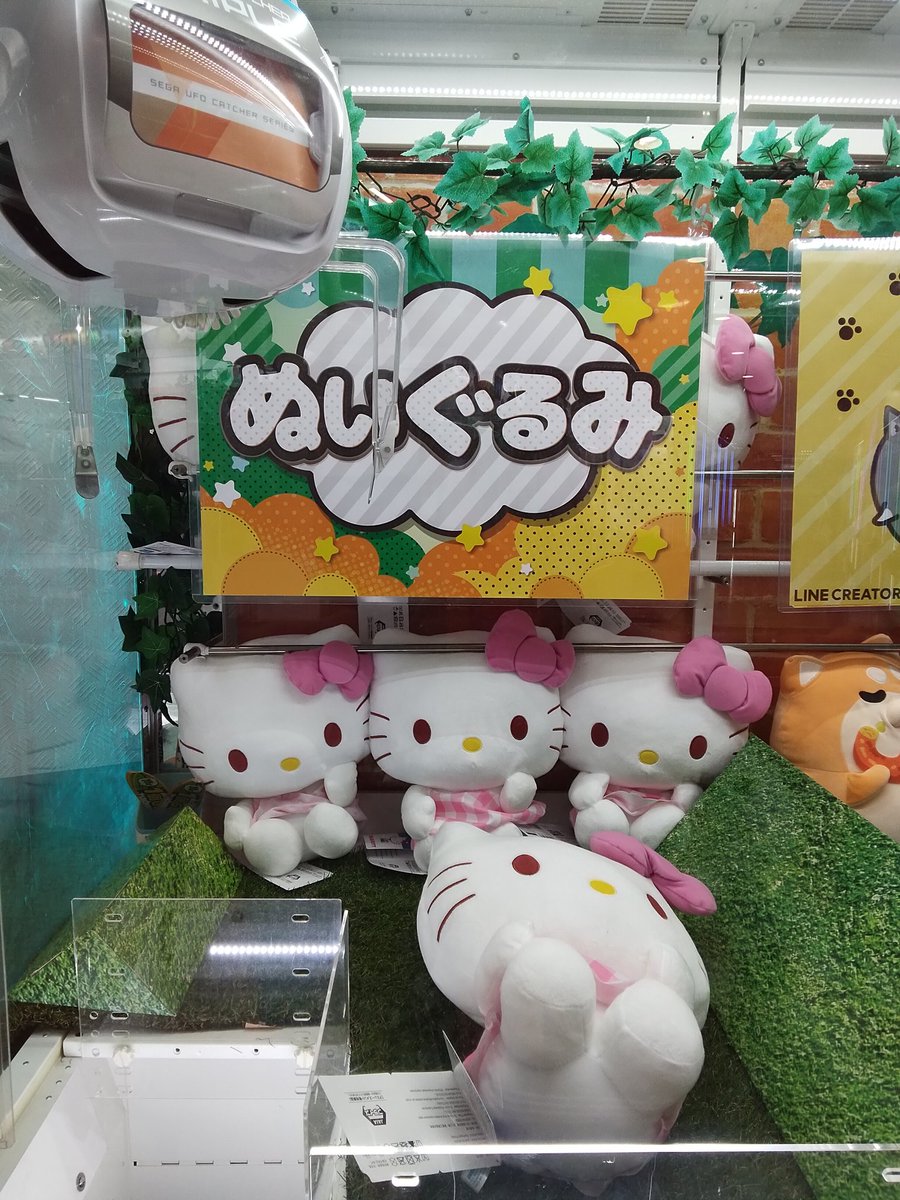 景品入荷情報】 ハローキティLLぬいぐるみピンクチェックVer. 入荷