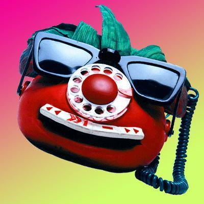 EDEN | Albur tweet media