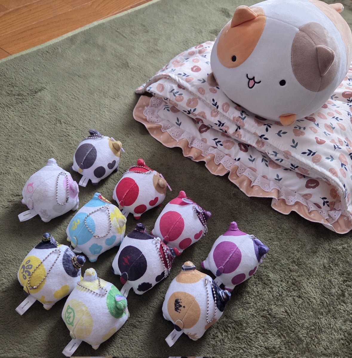 とにと@D4DJ tweet media