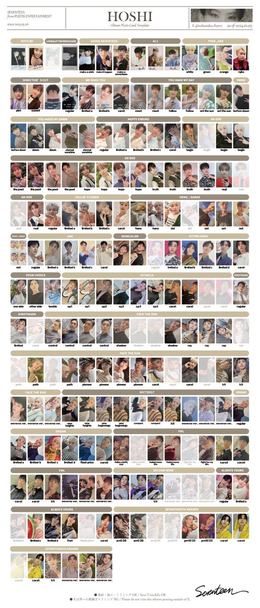 せりな tweet media