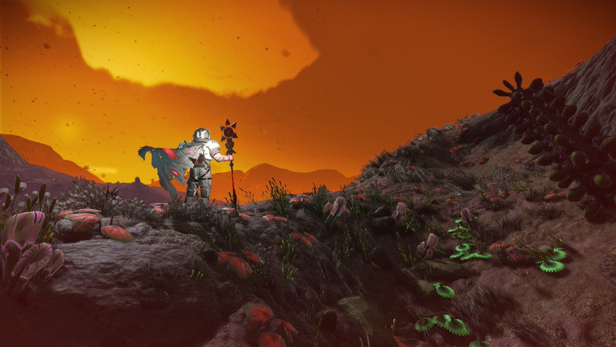 TheRedOrb tweet media