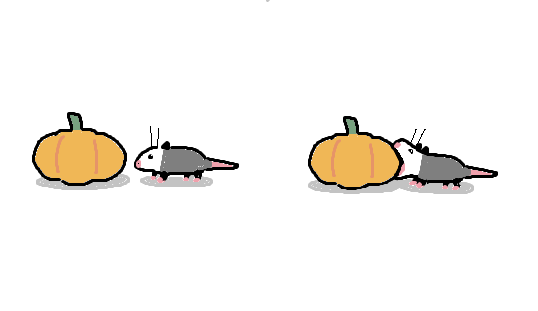 ᘛ⁐̤ᕐᐷ tweet media