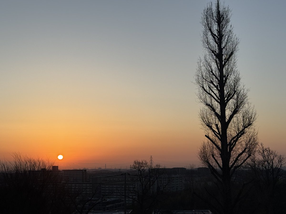 町田市議選を終えて一週間。

「もう一週間」
でも、「まだ一週間」。

あの濃密な日々が、遠い昔のようにも感じます😅
選挙中にいただいたご要望は、ひとつひとつ丁寧に対応を進めています。

今朝の朝日のように、希望を胸に。
今日も元気に、皆さまのもとへ！

#町田市
#公明党