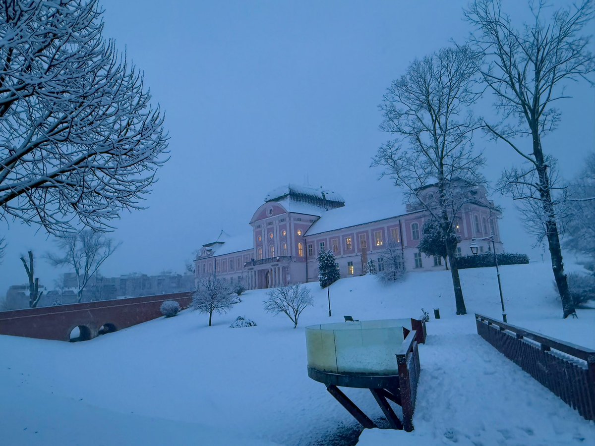 Kristijan Paljar tweet media