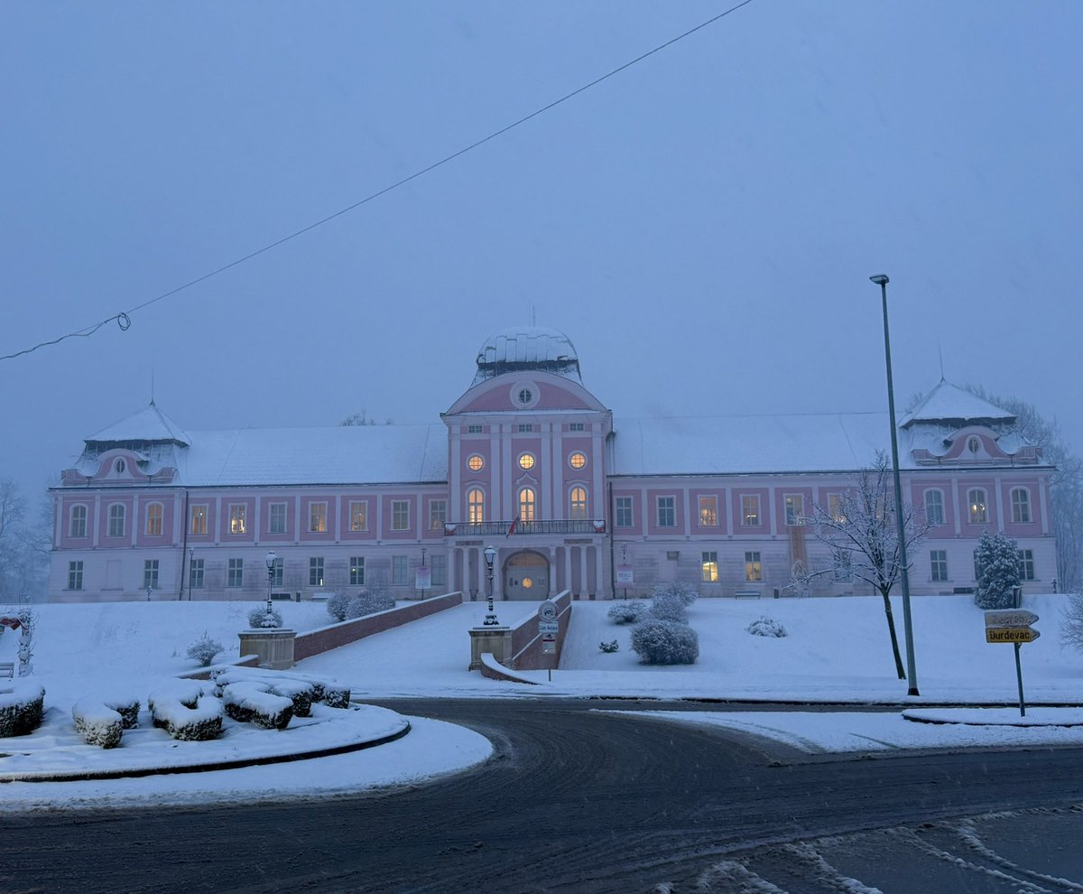 Kristijan Paljar tweet media