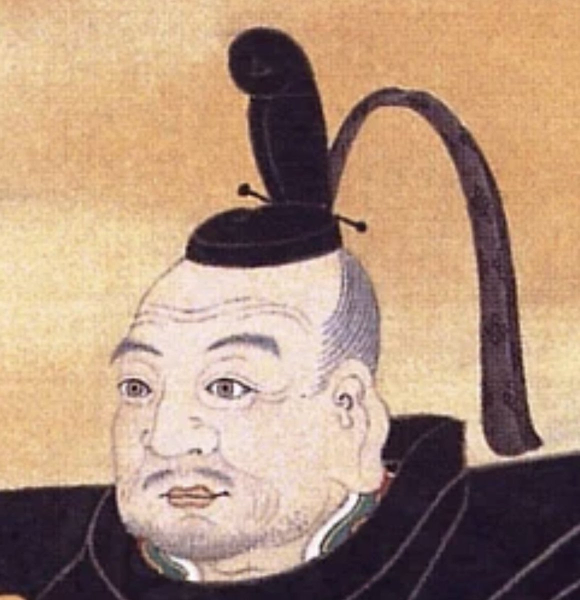 very cute dog haver tweet media