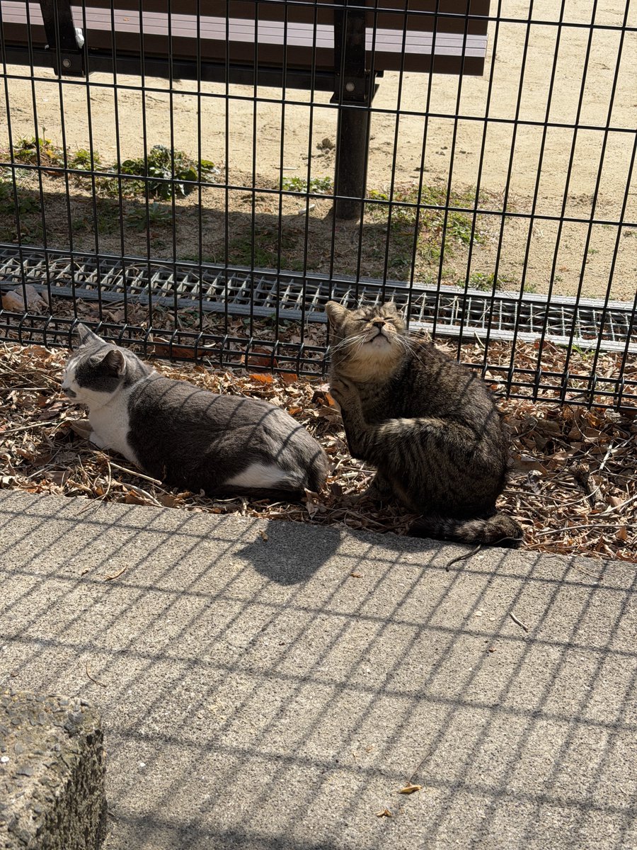 K E N (@kenbou187031) / Posts / X