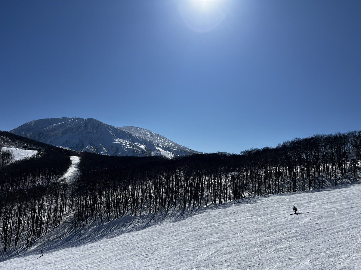 inouekzyk's tweet photo. 久々のフリー滑走！
快晴の 蔵王温泉スキー場 へ。

身体はブランク明けですが、サブバーンでコブに挑戦中。
やっぱり蔵王は最高です！

#蔵王温泉スキー場 #蔵王 #スキー #コブ #快晴 #リフレッシュ https://t.co/QRUcM7pUs2