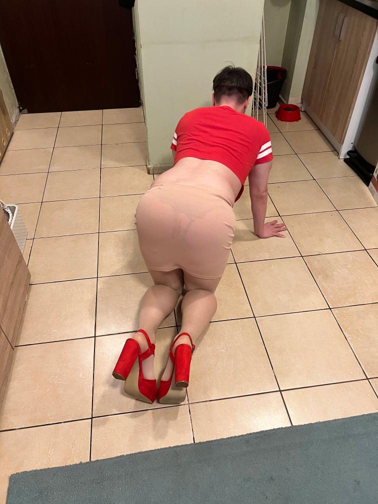 MrDomBull's tweet photo. Her sissy hubby asked me to take over his slut because he didn't have dick 🤣🤣

@SluttyEwe 

#porn #sissyhubby #kink #bdsm #polishwhore #dirty #slave #dog #pig https://t.co/0geo2lej5A